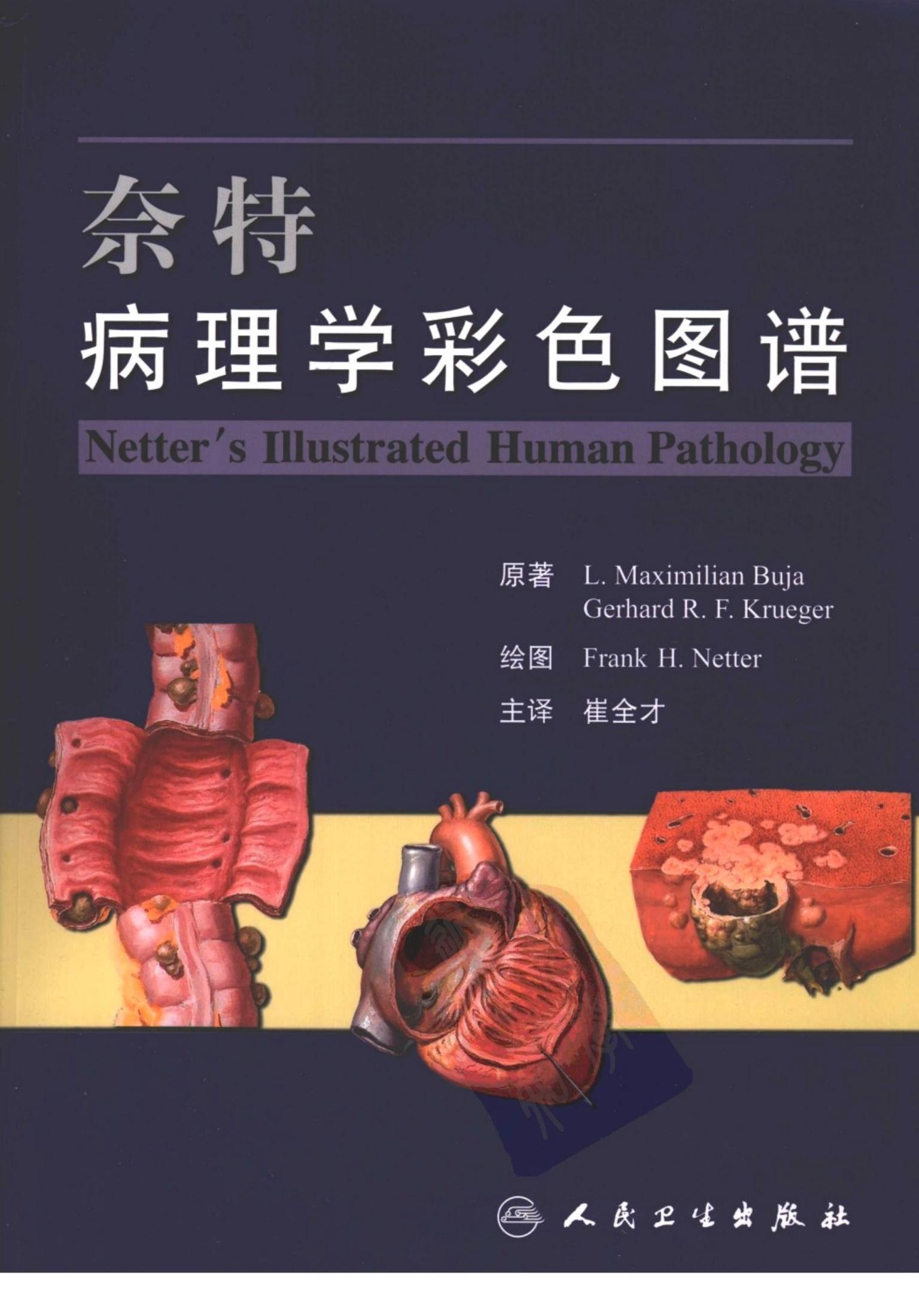 奈特系列（共11册）（高清中文版）